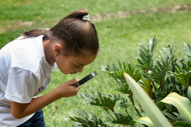 importancia-educacion-primaria-en-tus-hijos